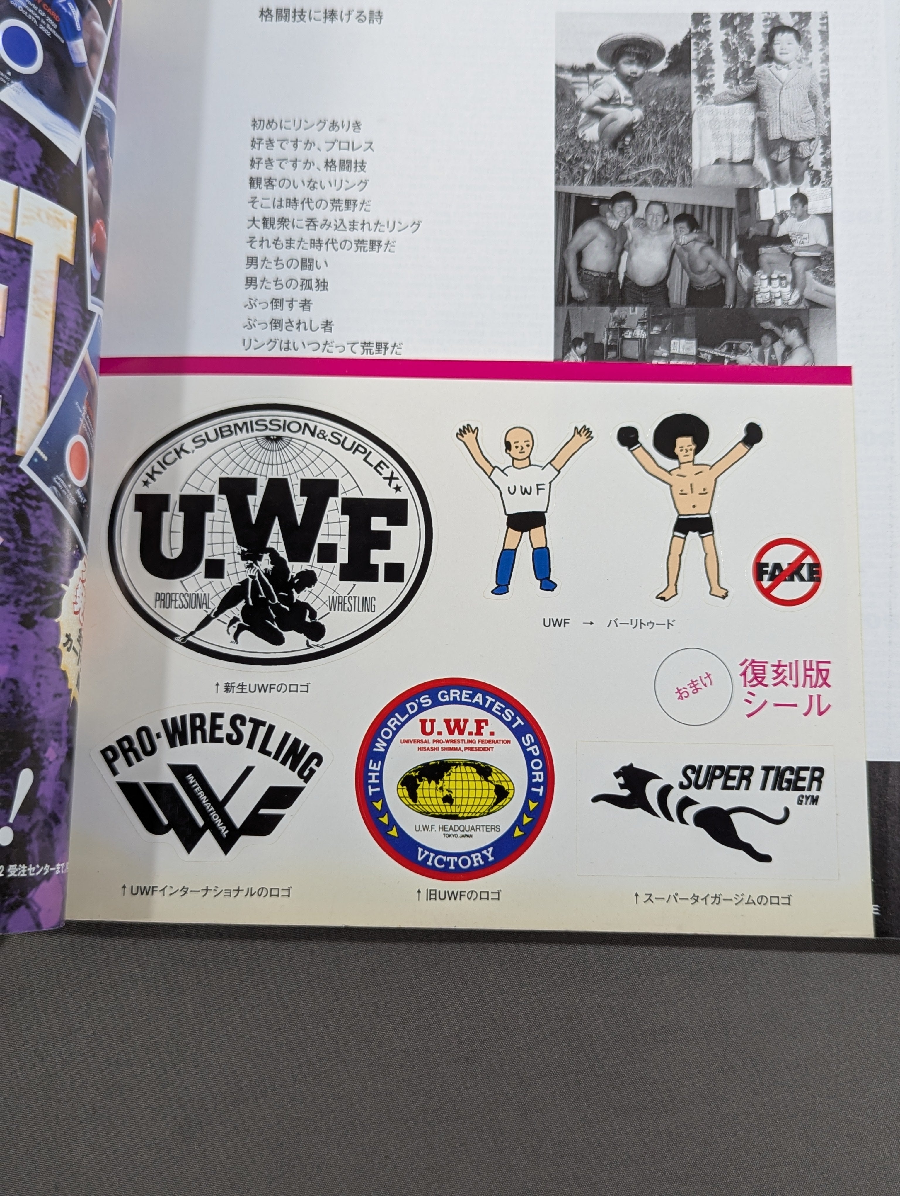UWF→PRIDE 総合格闘技20年史1984→2003 – 闘道館