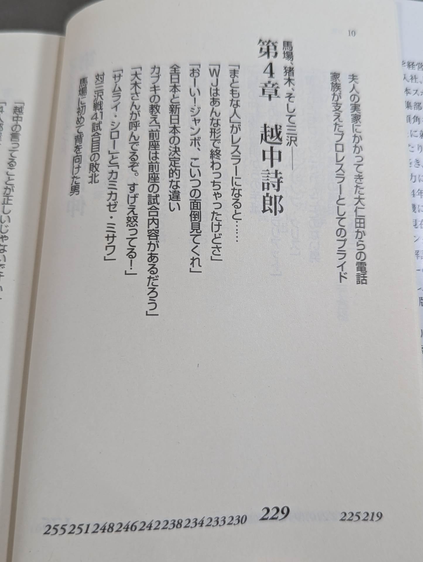 Former New Japan Pro Wrestling  "Ring of Life"