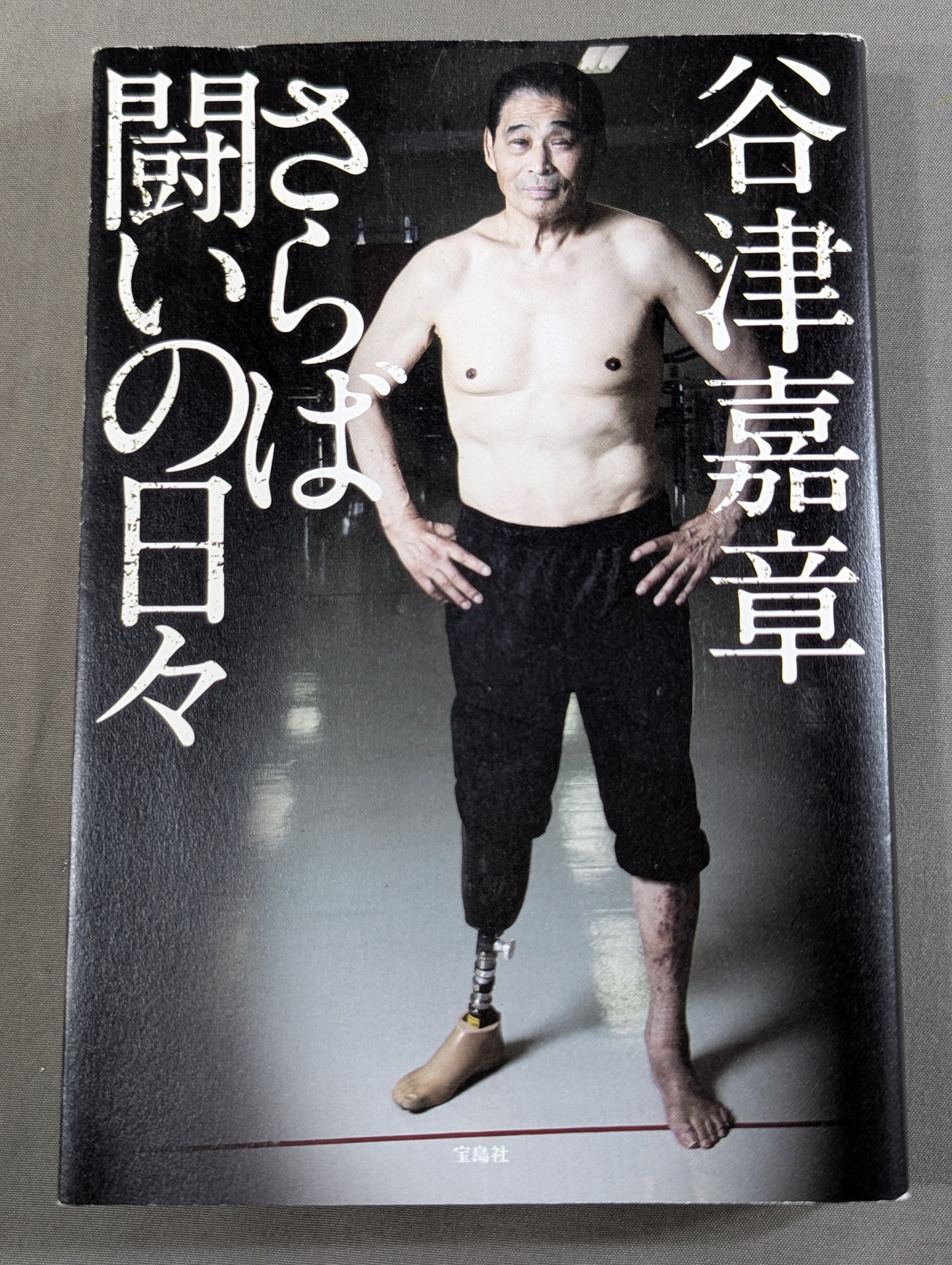 さらば闘いの日々