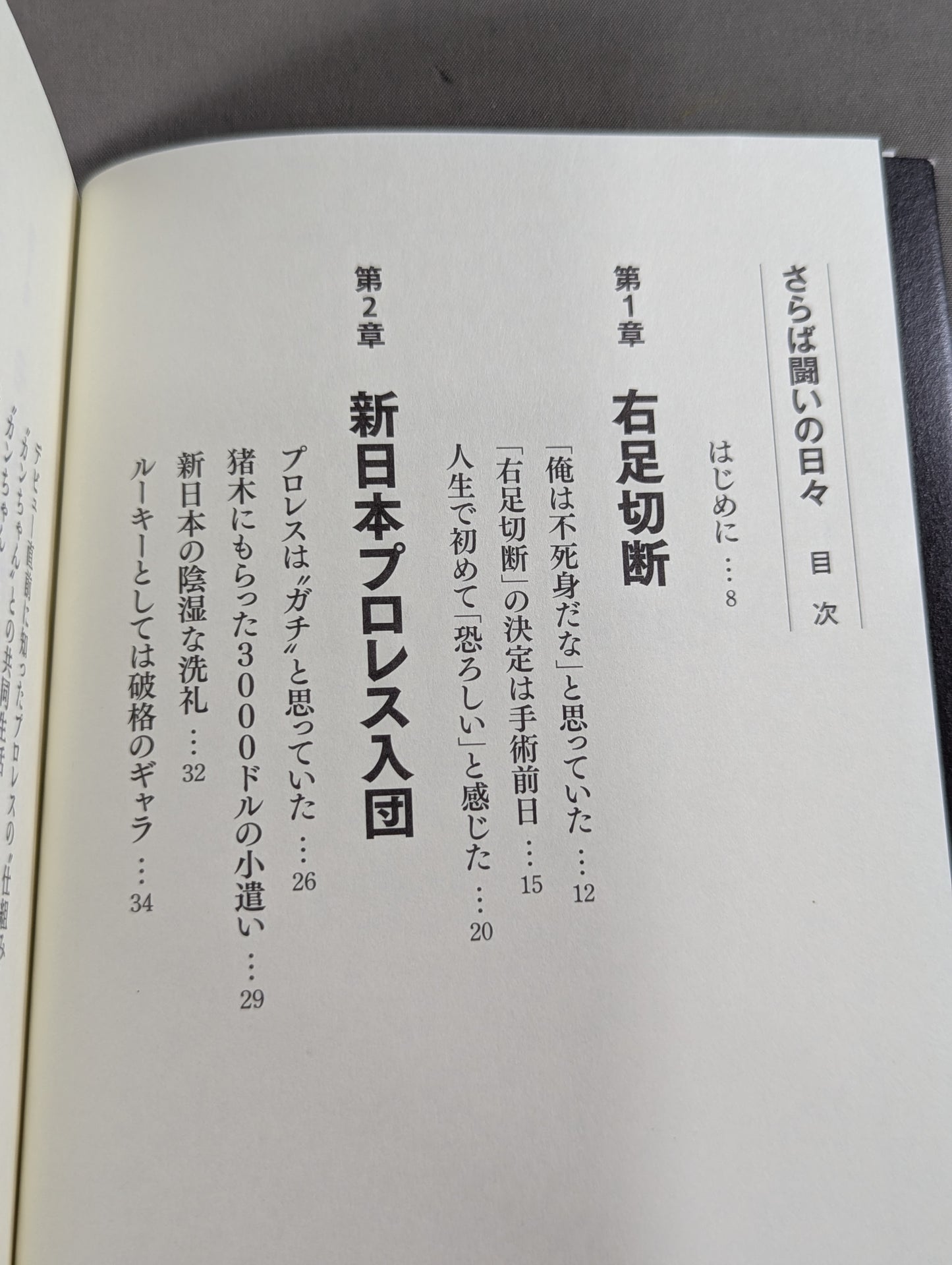 さらば闘いの日々
