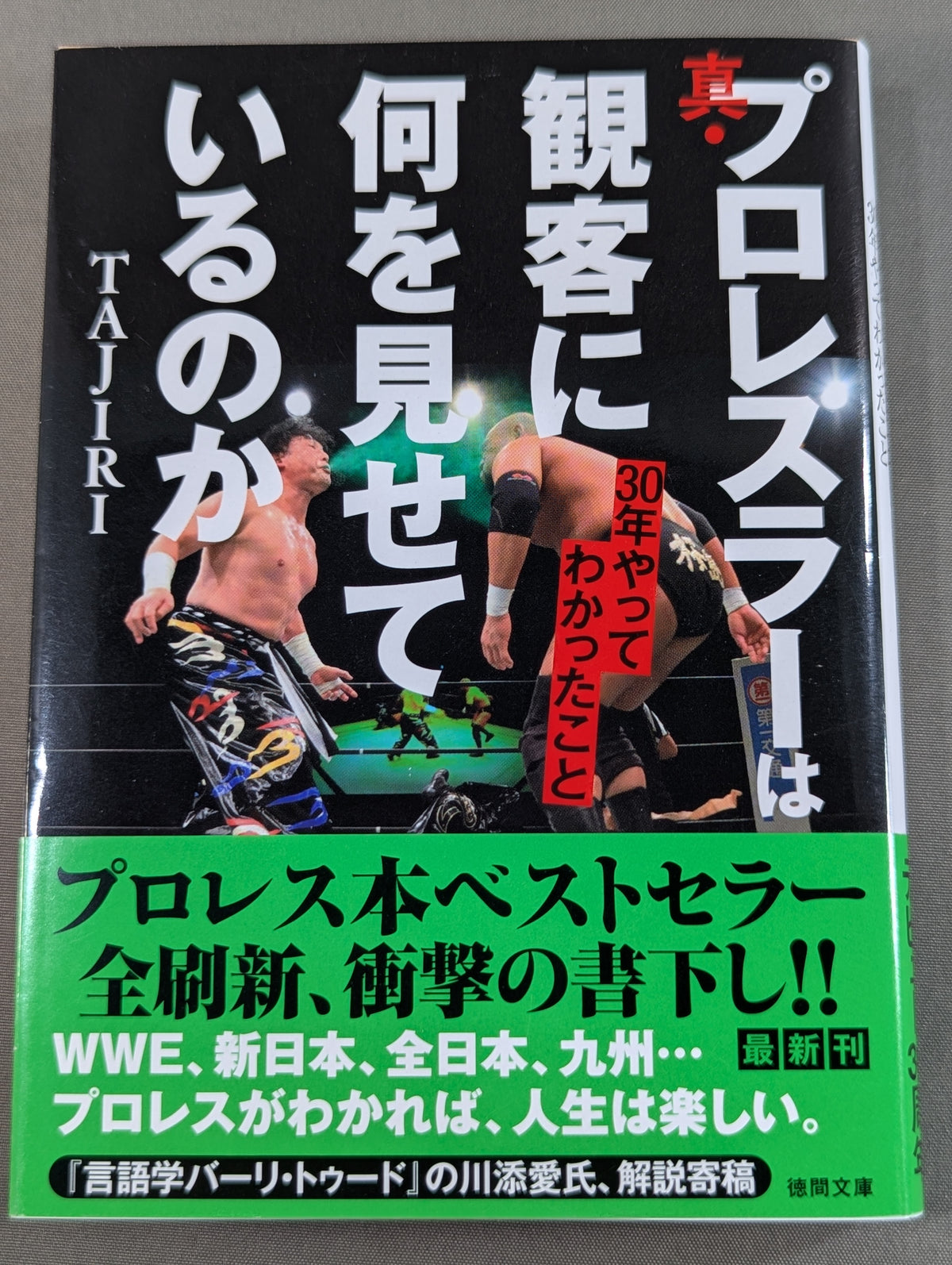 真・プロレスラーは観客に何を見せているのか 30年やってわかったこと