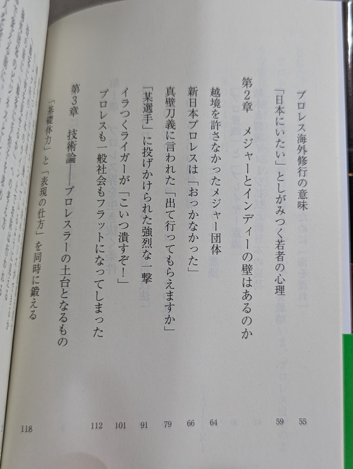 真・プロレスラーは観客に何を見せているのか 30年やってわかったこと
