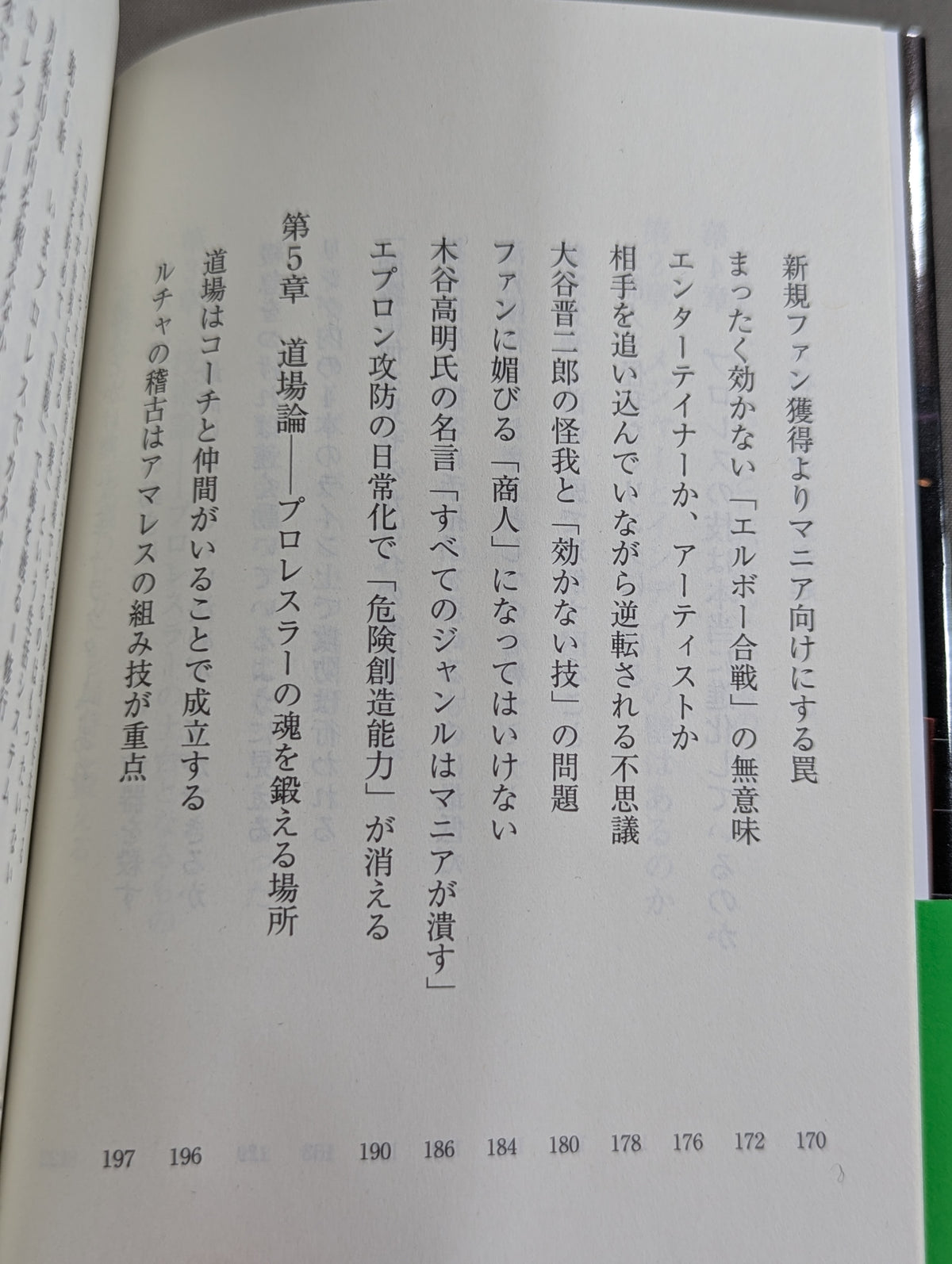 真・プロレスラーは観客に何を見せているのか 30年やってわかったこと