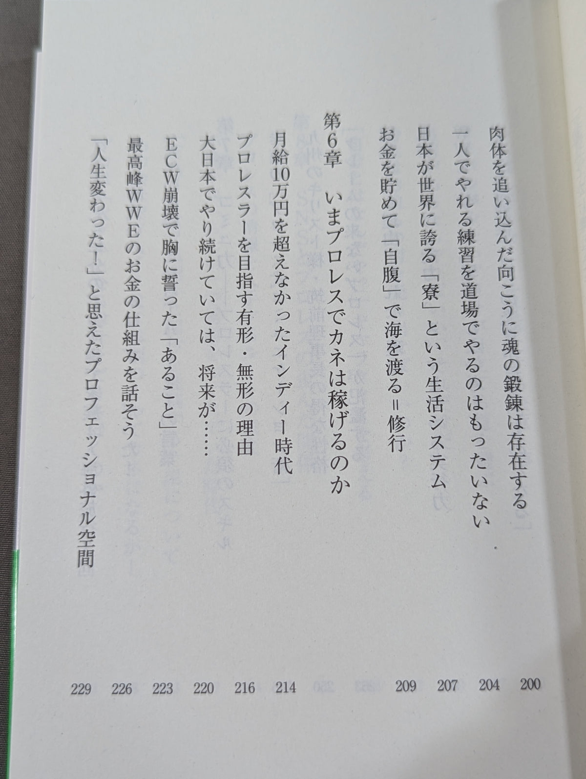真・プロレスラーは観客に何を見せているのか 30年やってわかったこと