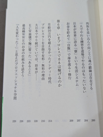 真・プロレスラーは観客に何を見せているのか 30年やってわかったこと