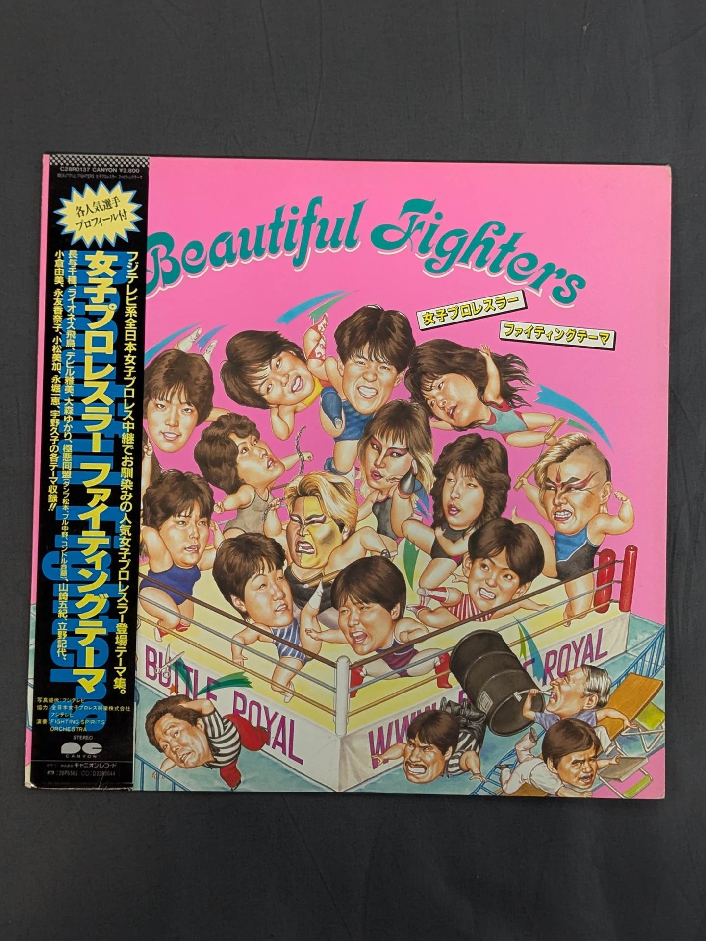 Women's Pro Wrestler  Fighting Theme