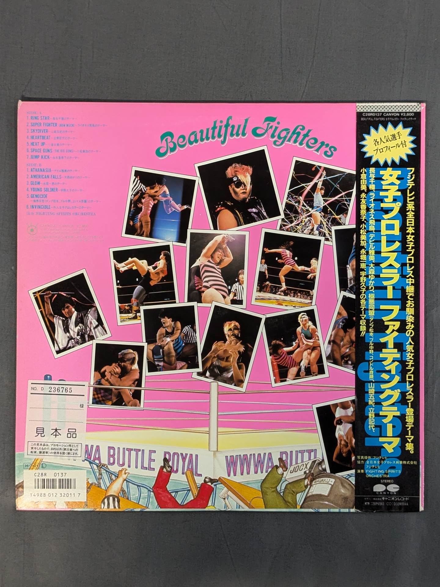 Women's Pro Wrestler  Fighting Theme