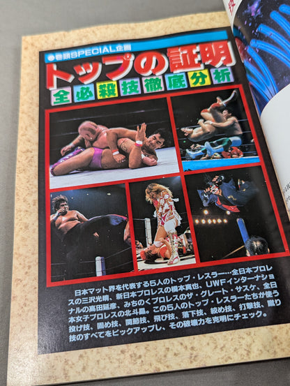 95ゴング プロレス観戦パーフェクトガイド