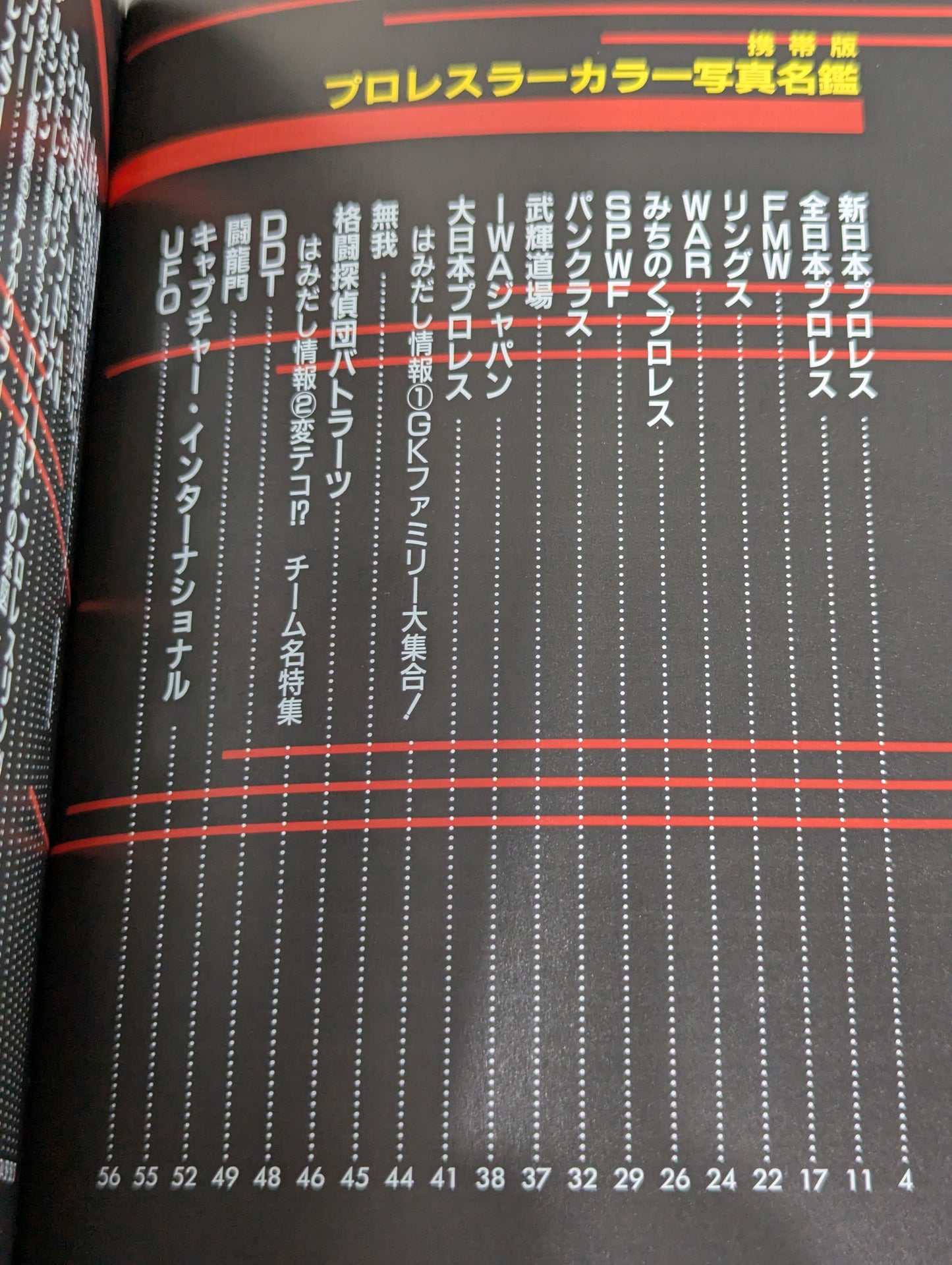 99 Pro Wrestler  Color Photo  Directory [Mobile Version]