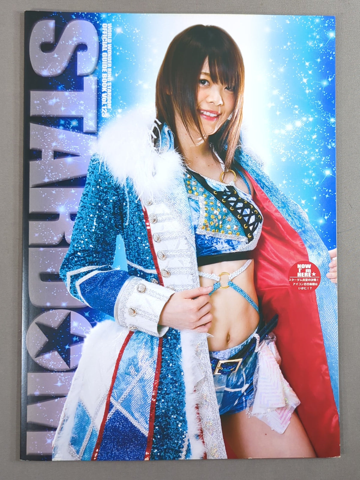 STARDOM OFFICIAL GUIDE BOOK Vol.123