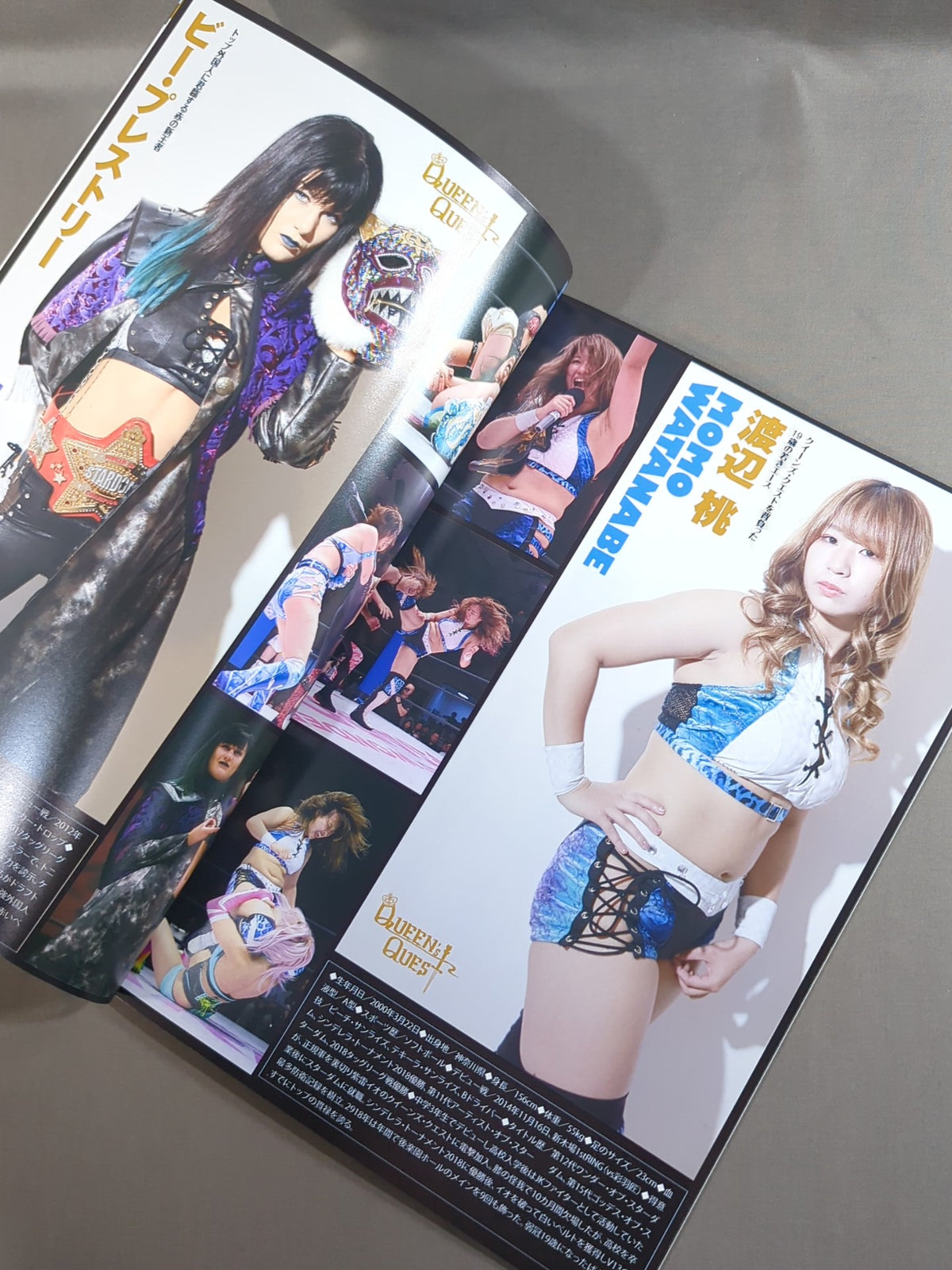STARDOM OFFICIAL GUIDE BOOK Vol.123