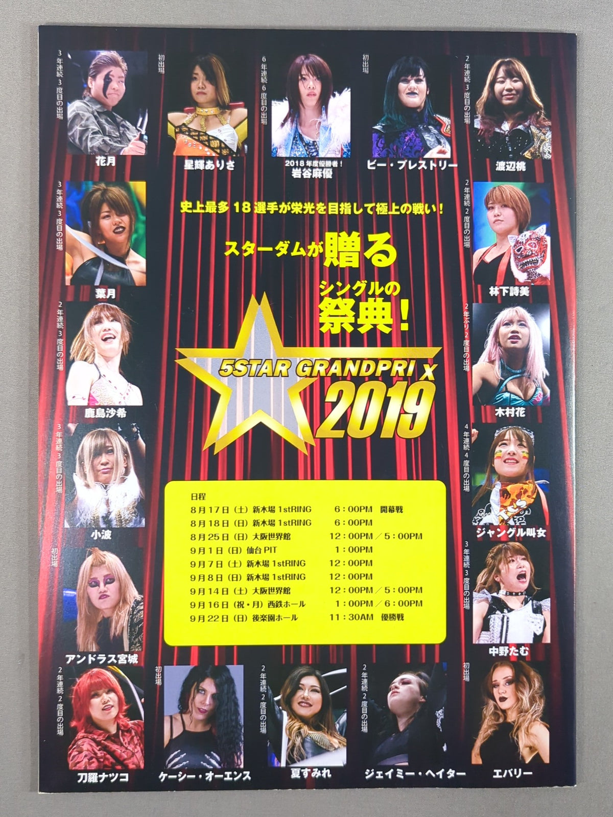 STARDOM OFFICIAL GUIDE BOOK Vol.123