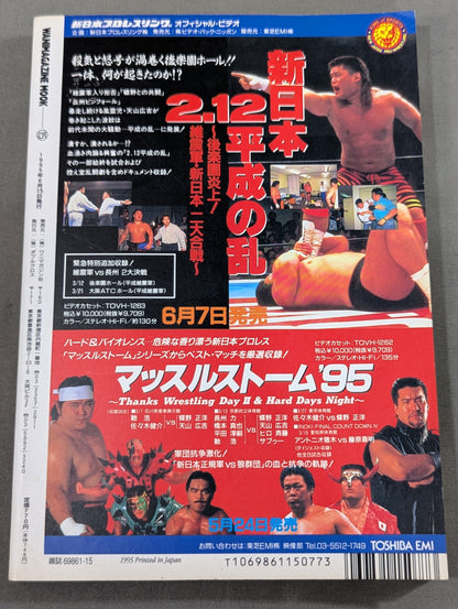 Paper Pro Wrestling 16