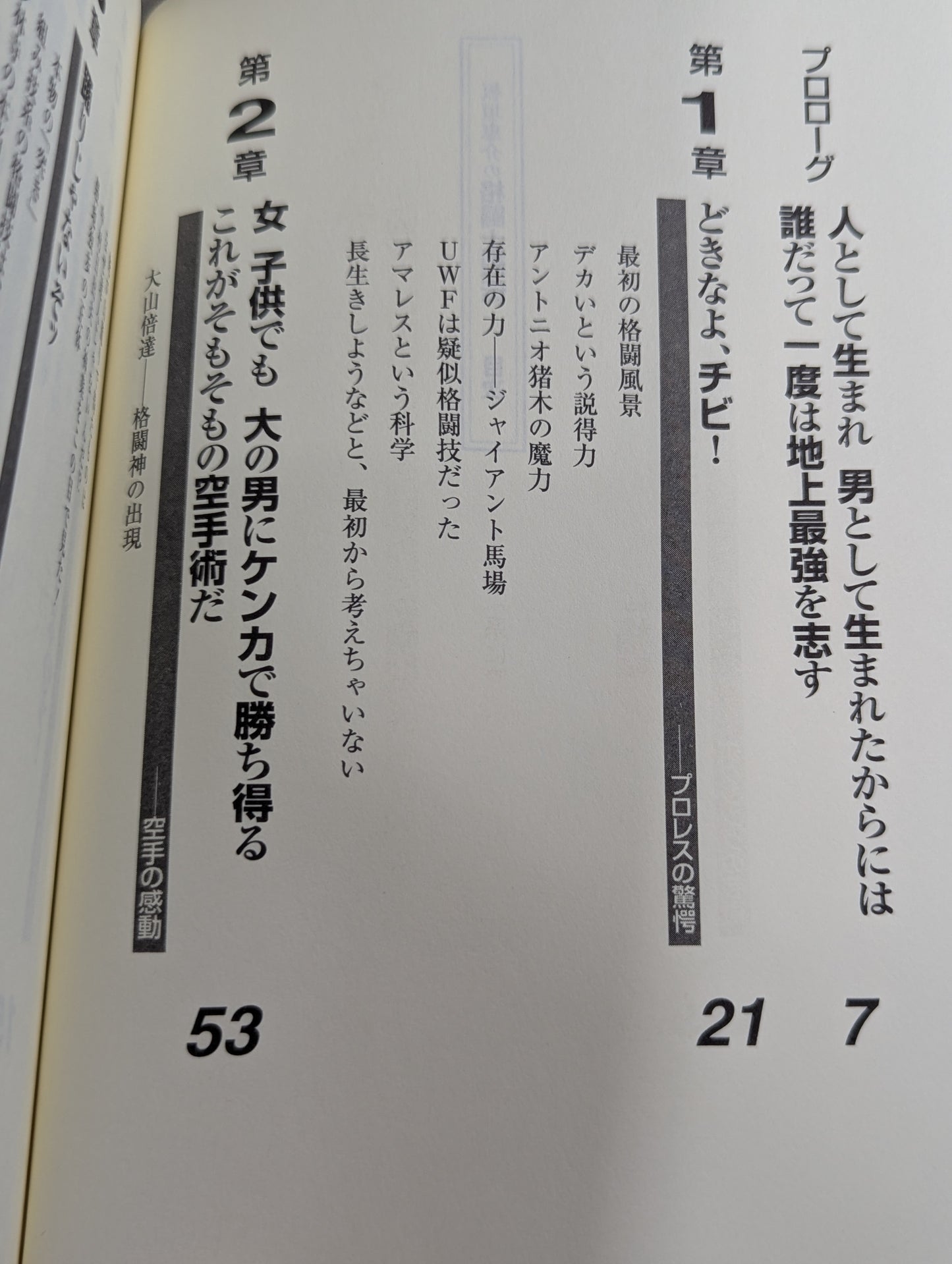 Keisuke Itagaki's Martial Warrior Legend (Grappler Retsuden)