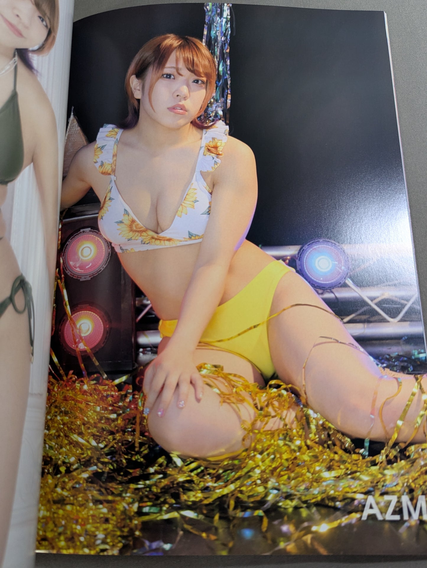 STARDOM VISUAL BOOK Bikiniing 10 (通常版)