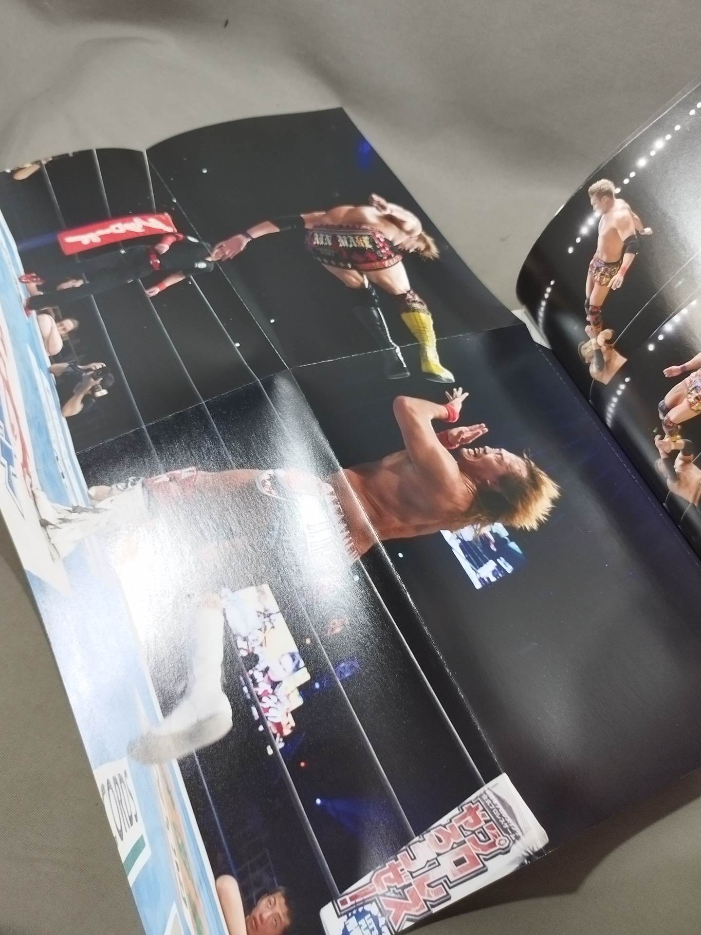 Bessatsu Kadokawa Special Feature New Japan Pro Wrestling 2016→2017