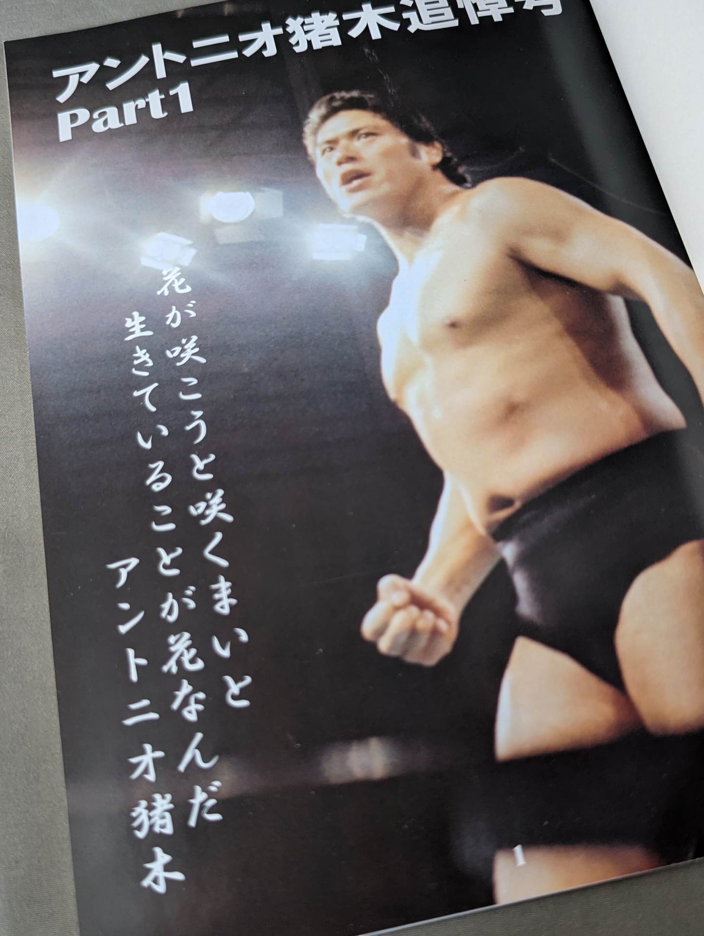 Dr. Mick's Showa Pro Wrestling Magazine No. ★ 59 Antonio Inoki Memorial Issue PART1★