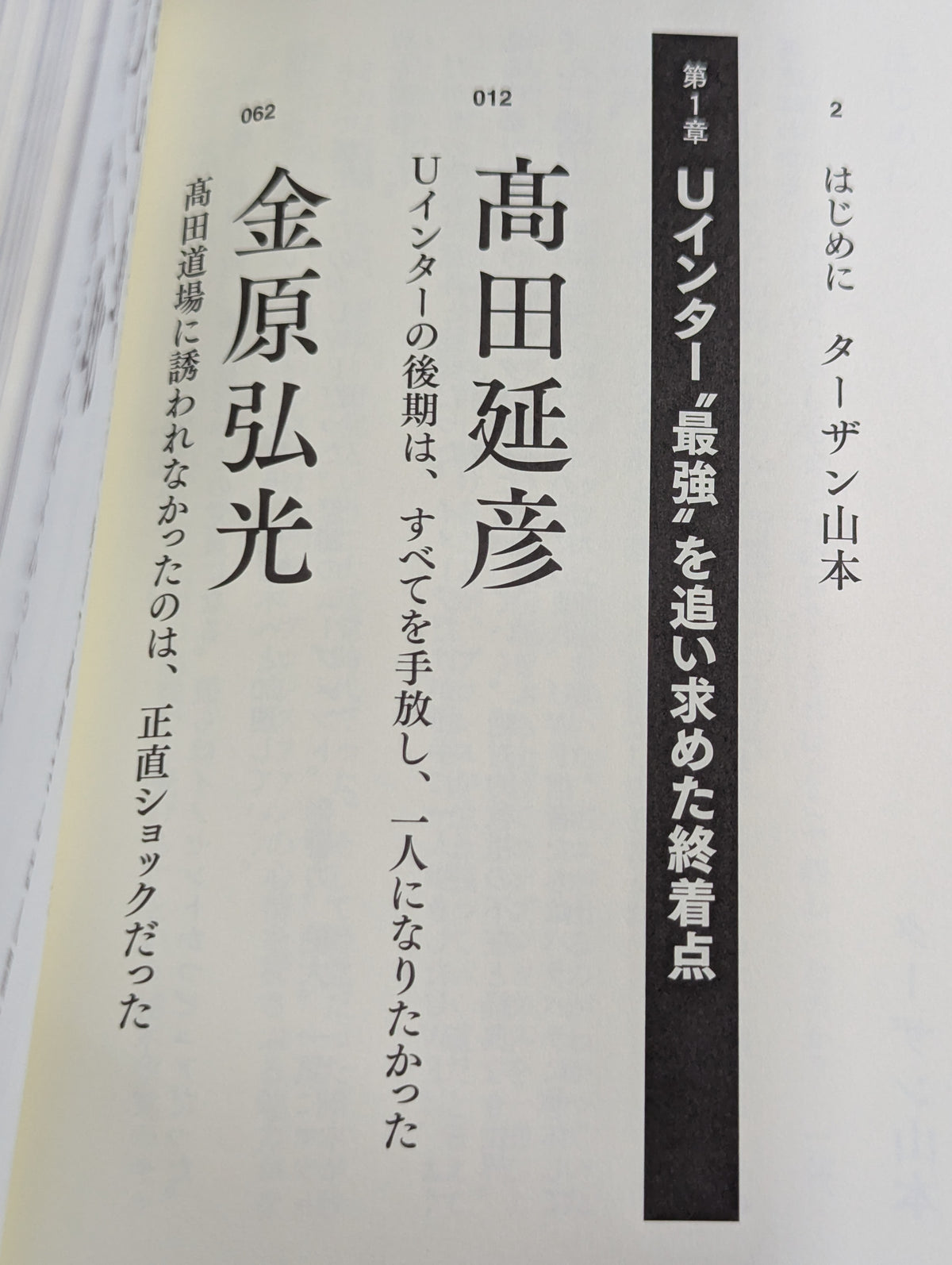 証言UWF 完全崩壊の真実