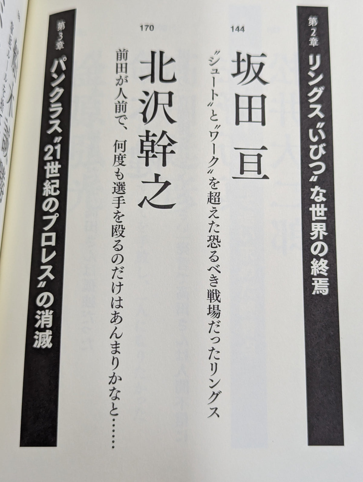 証言UWF 完全崩壊の真実