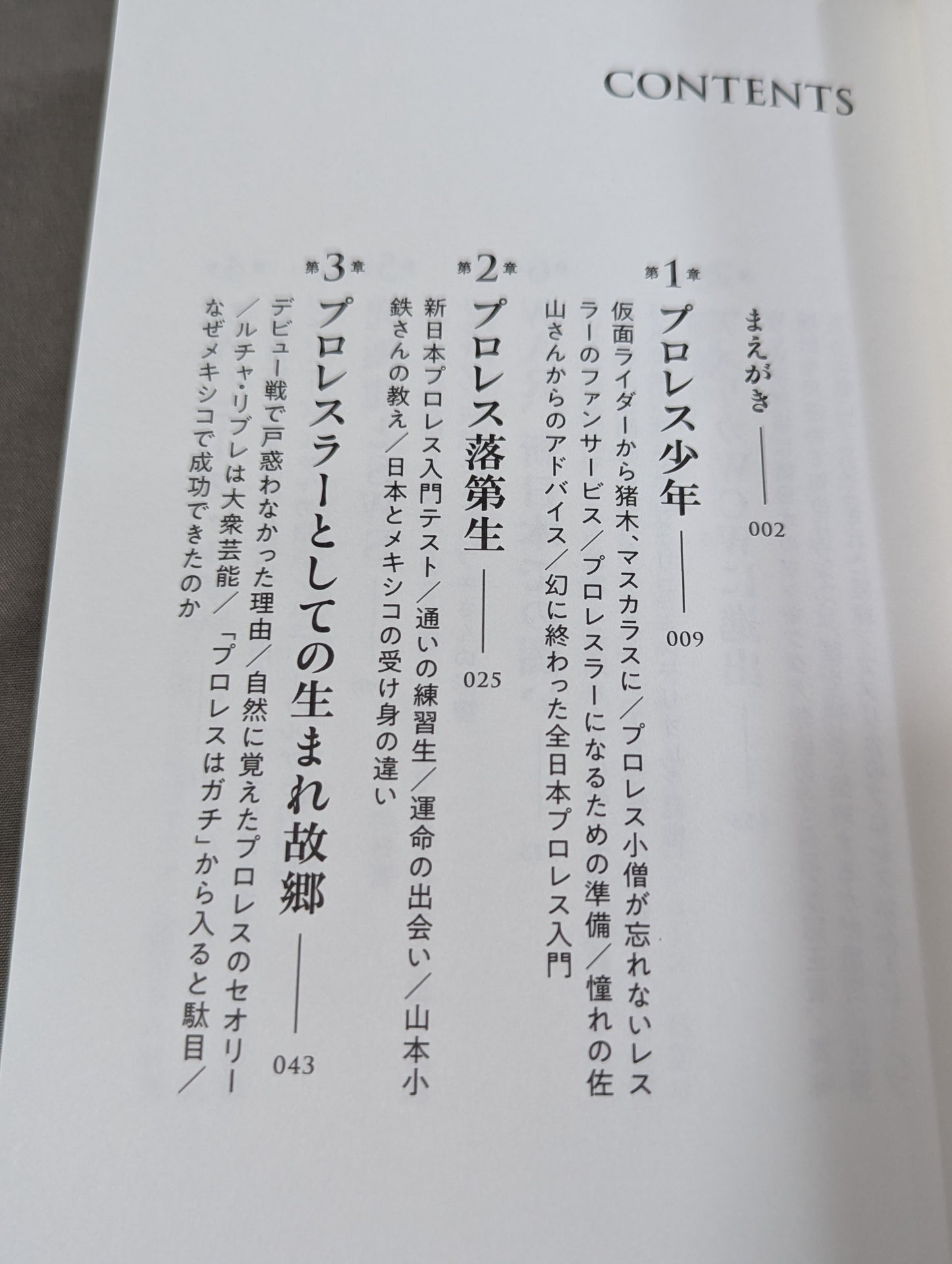 独学のプロレス