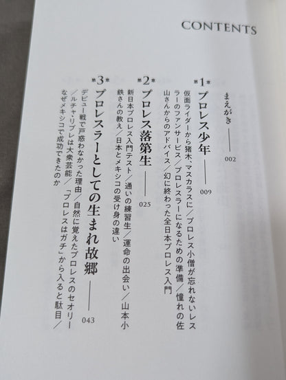 独学のプロレス