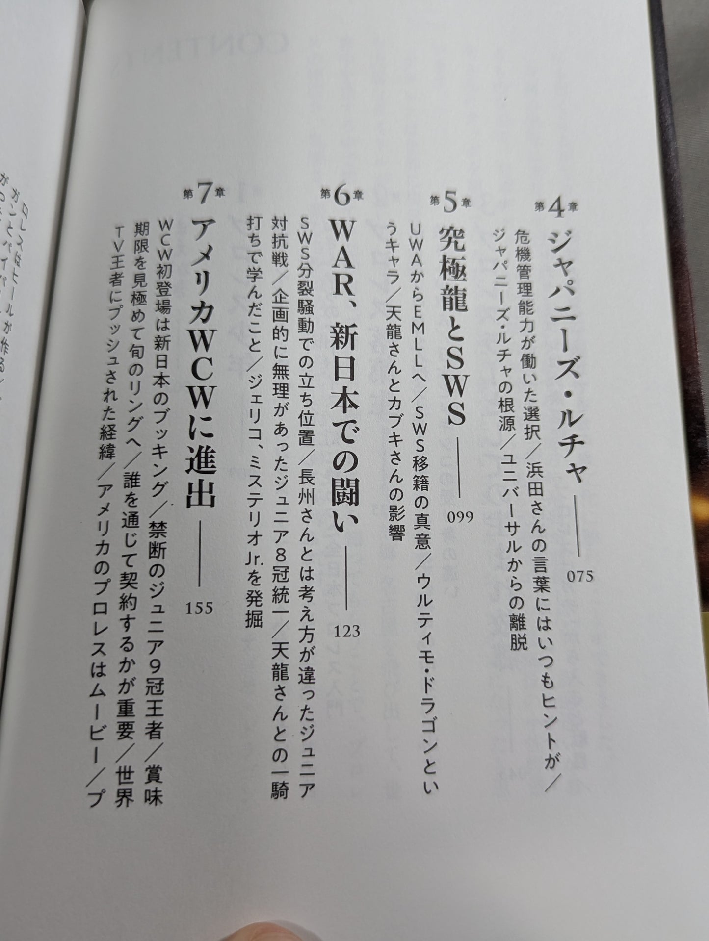 独学のプロレス