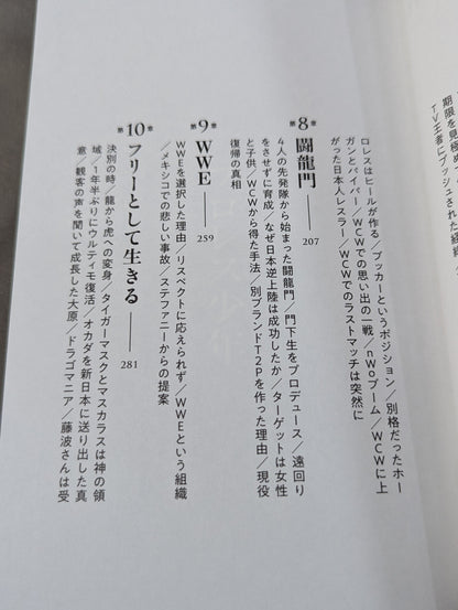 独学のプロレス