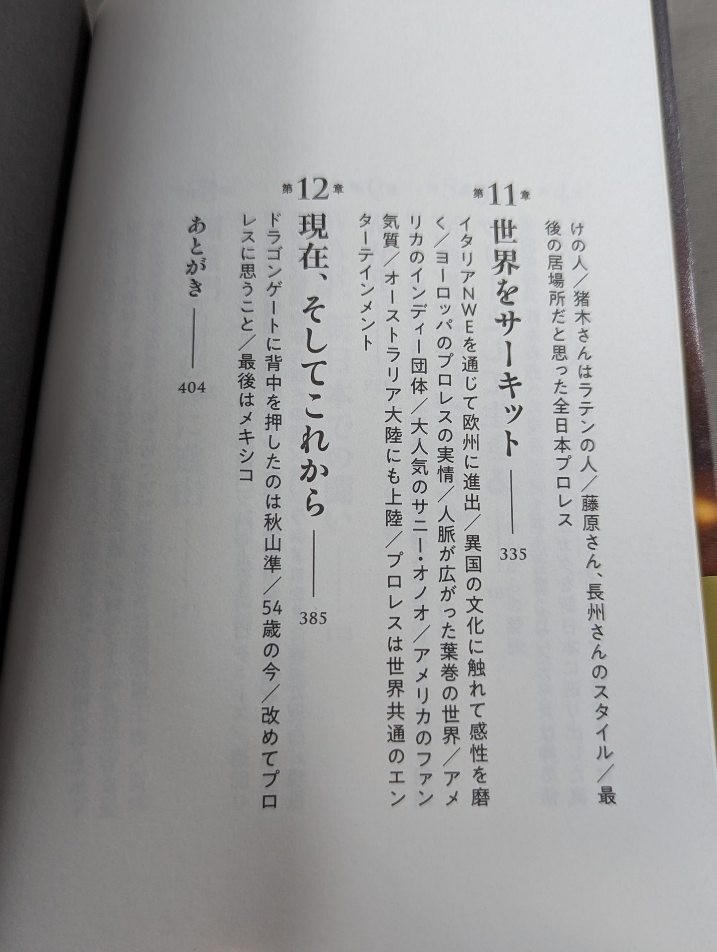独学のプロレス