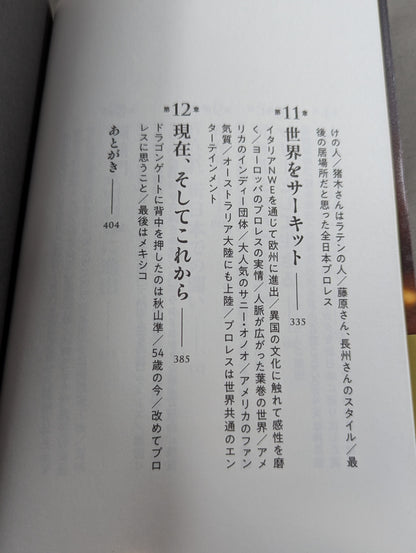 独学のプロレス