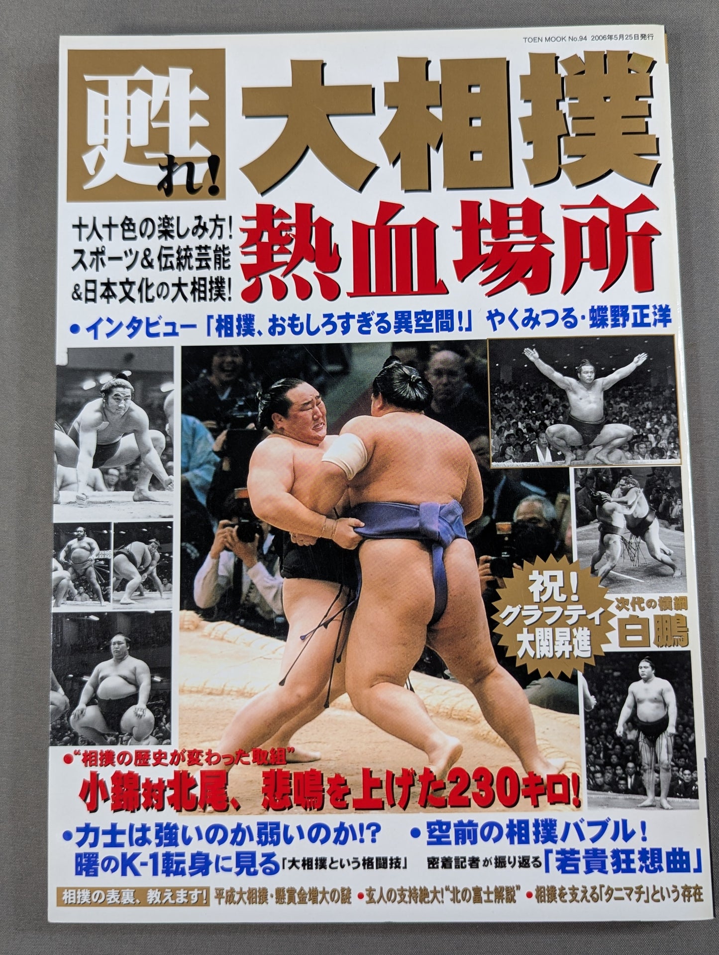 甦れ!大相撲熱血場所 十人十色の楽しみ方!スポーツ&伝統芸能&日本文化の大相撲!