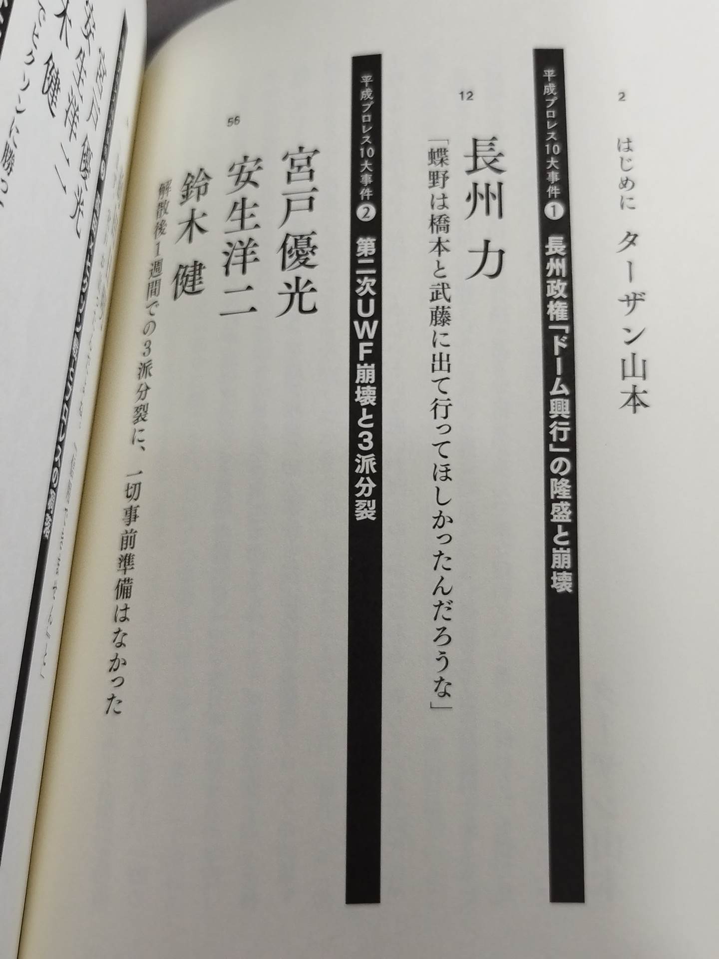 告白 平成プロレス10大事件 最後の真実