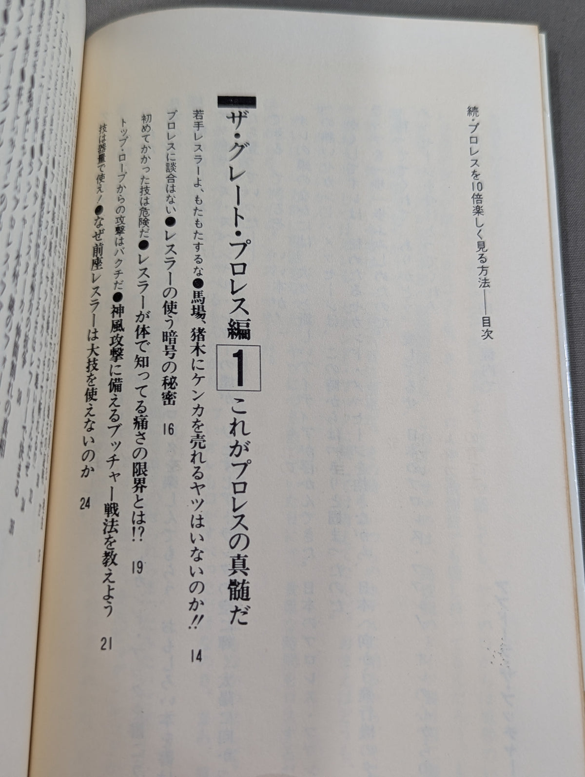 続・プロレスを10倍楽しく見る方法