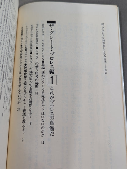 続・プロレスを10倍楽しく見る方法