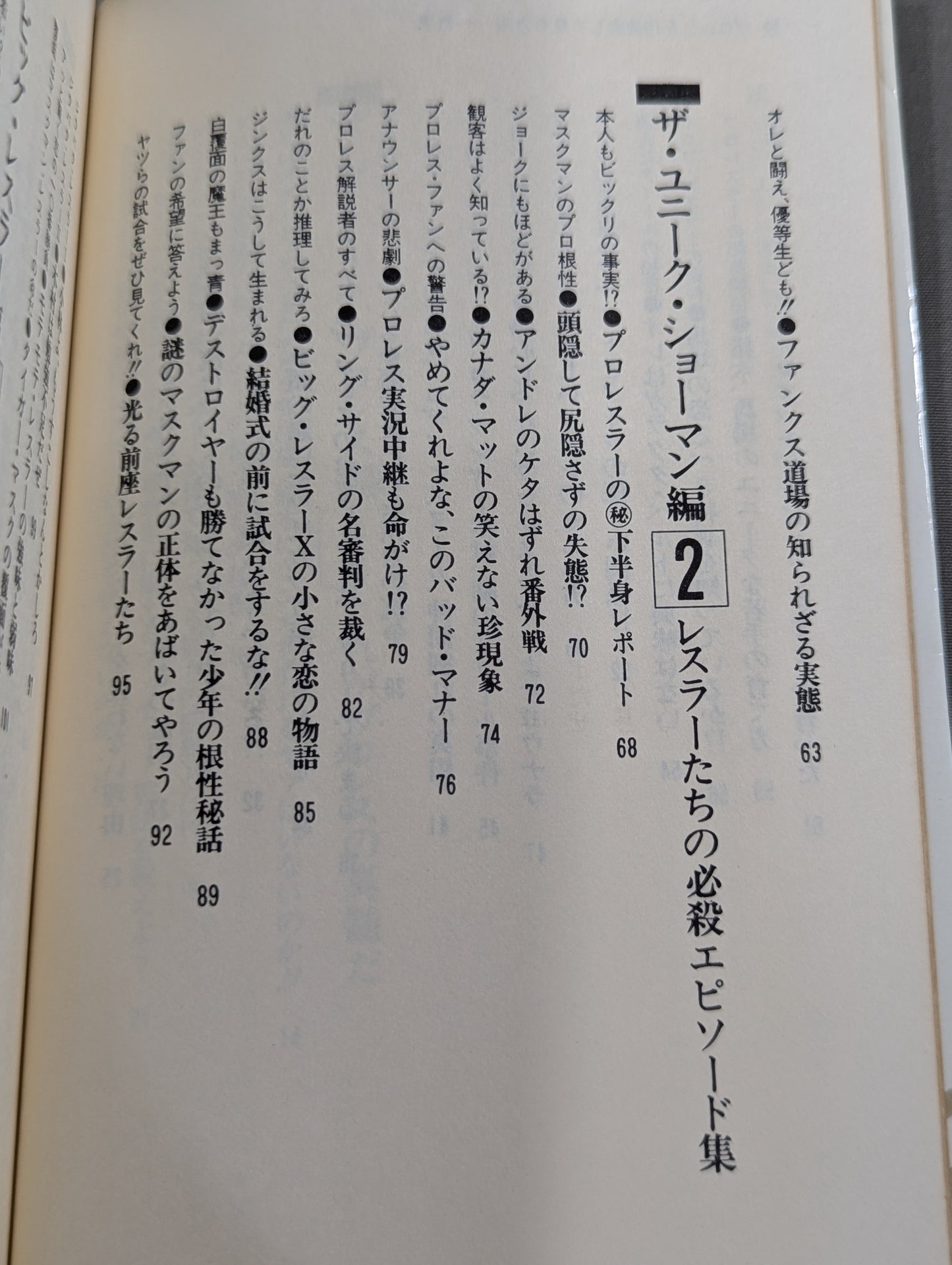 続・プロレスを10倍楽しく見る方法