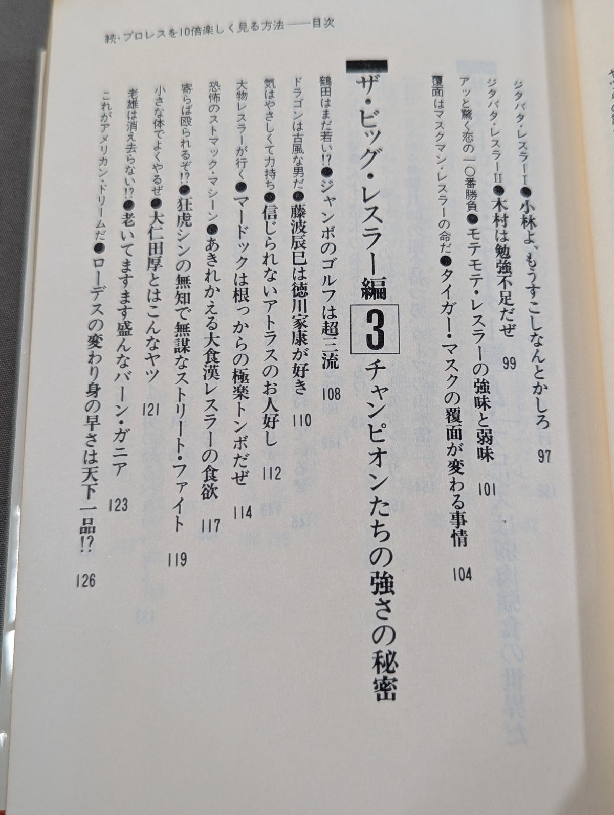 続・プロレスを10倍楽しく見る方法