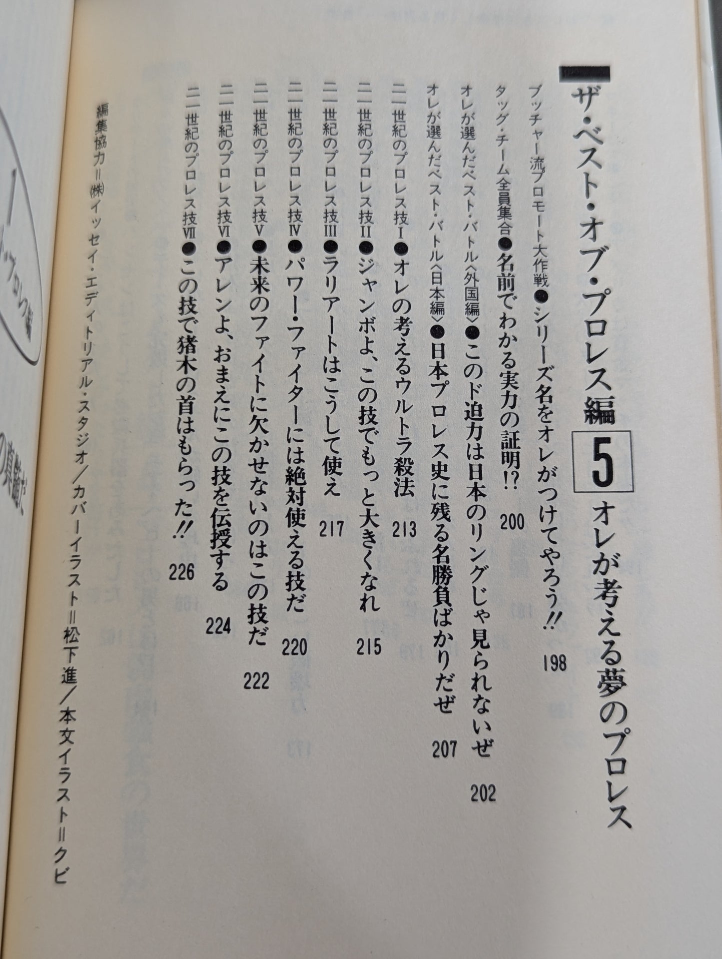 続・プロレスを10倍楽しく見る方法