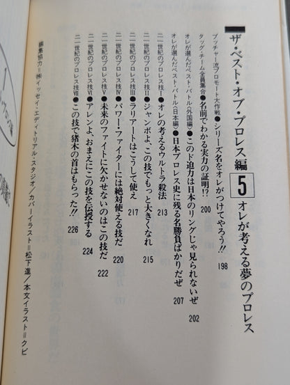 続・プロレスを10倍楽しく見る方法