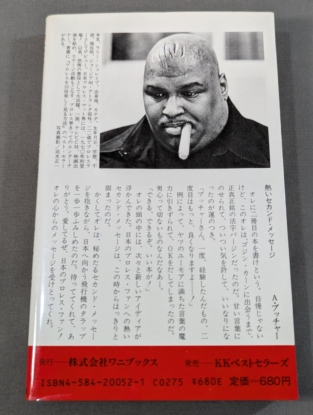 続・プロレスを10倍楽しく見る方法
