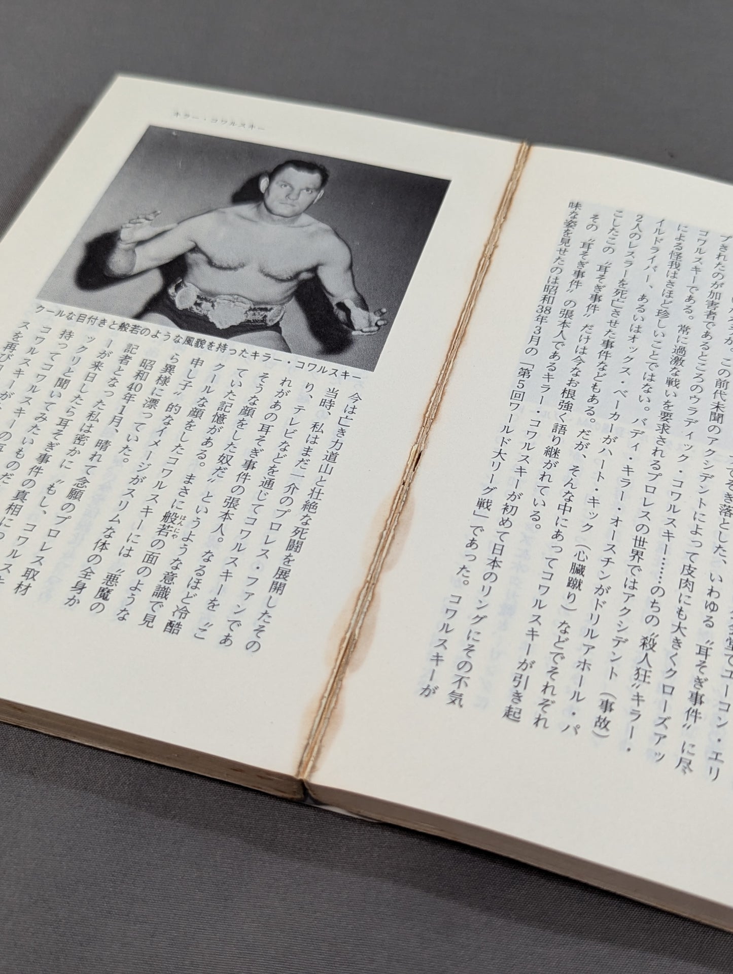 プロレス悪党列伝 強くて悪くて凄いヤツ