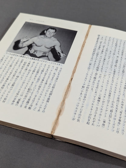 プロレス悪党列伝 強くて悪くて凄いヤツ