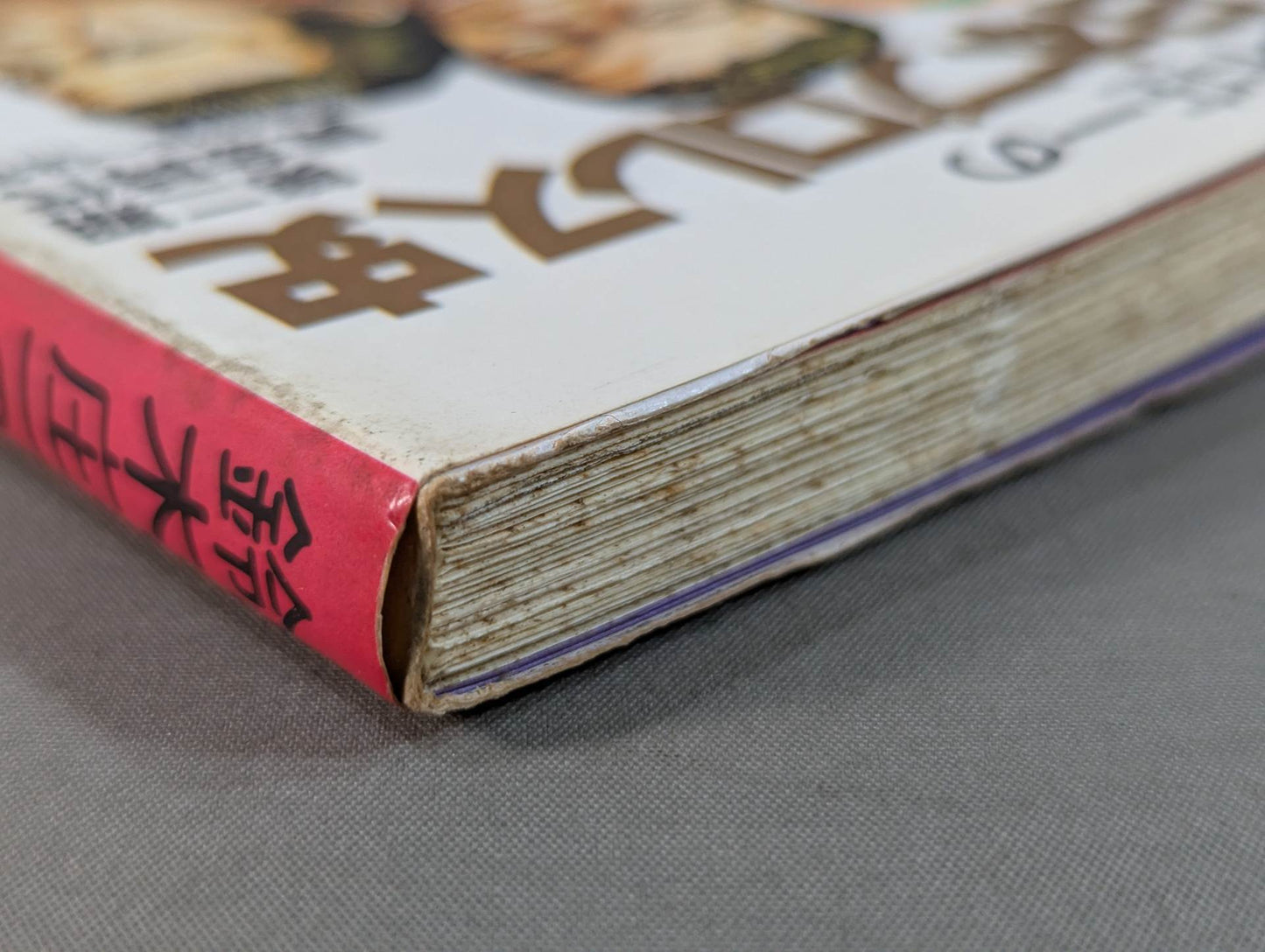 鈴木庄一の日本プロレス史・下 第二期黄金時代