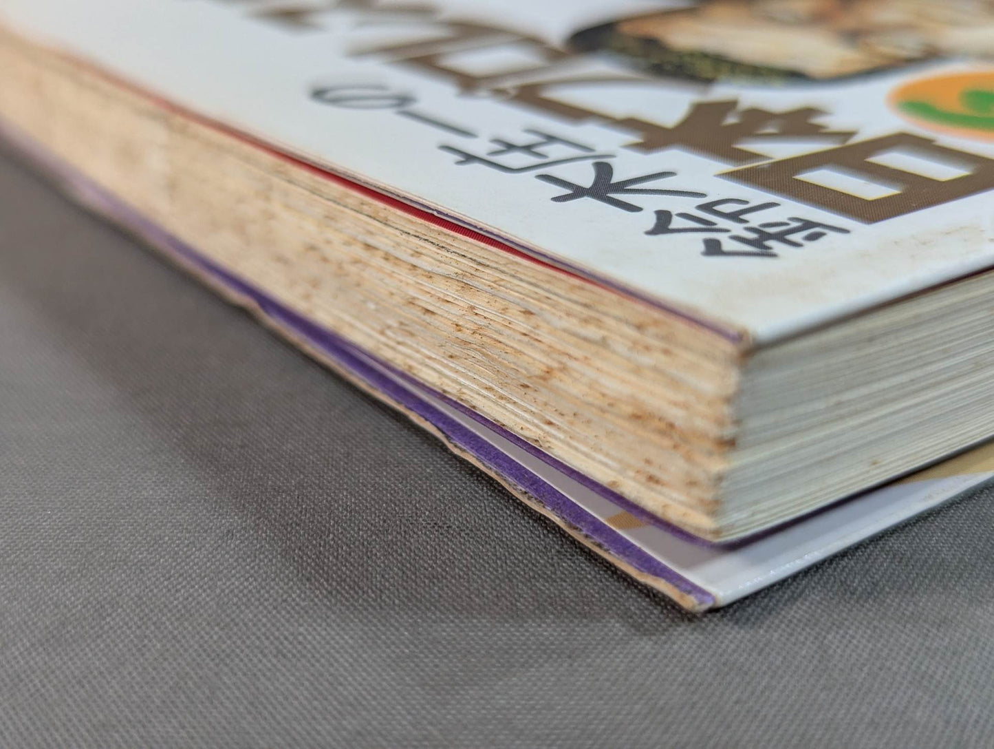 鈴木庄一の日本プロレス史・下 第二期黄金時代