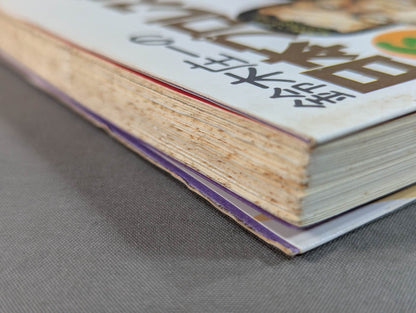 鈴木庄一の日本プロレス史・下 第二期黄金時代