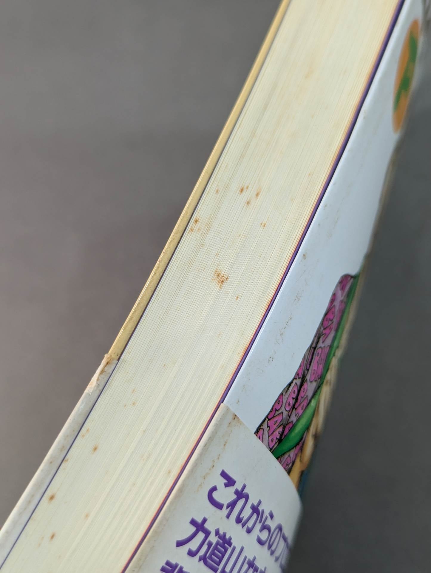 鈴木庄一の日本プロレス史・下 第二期黄金時代