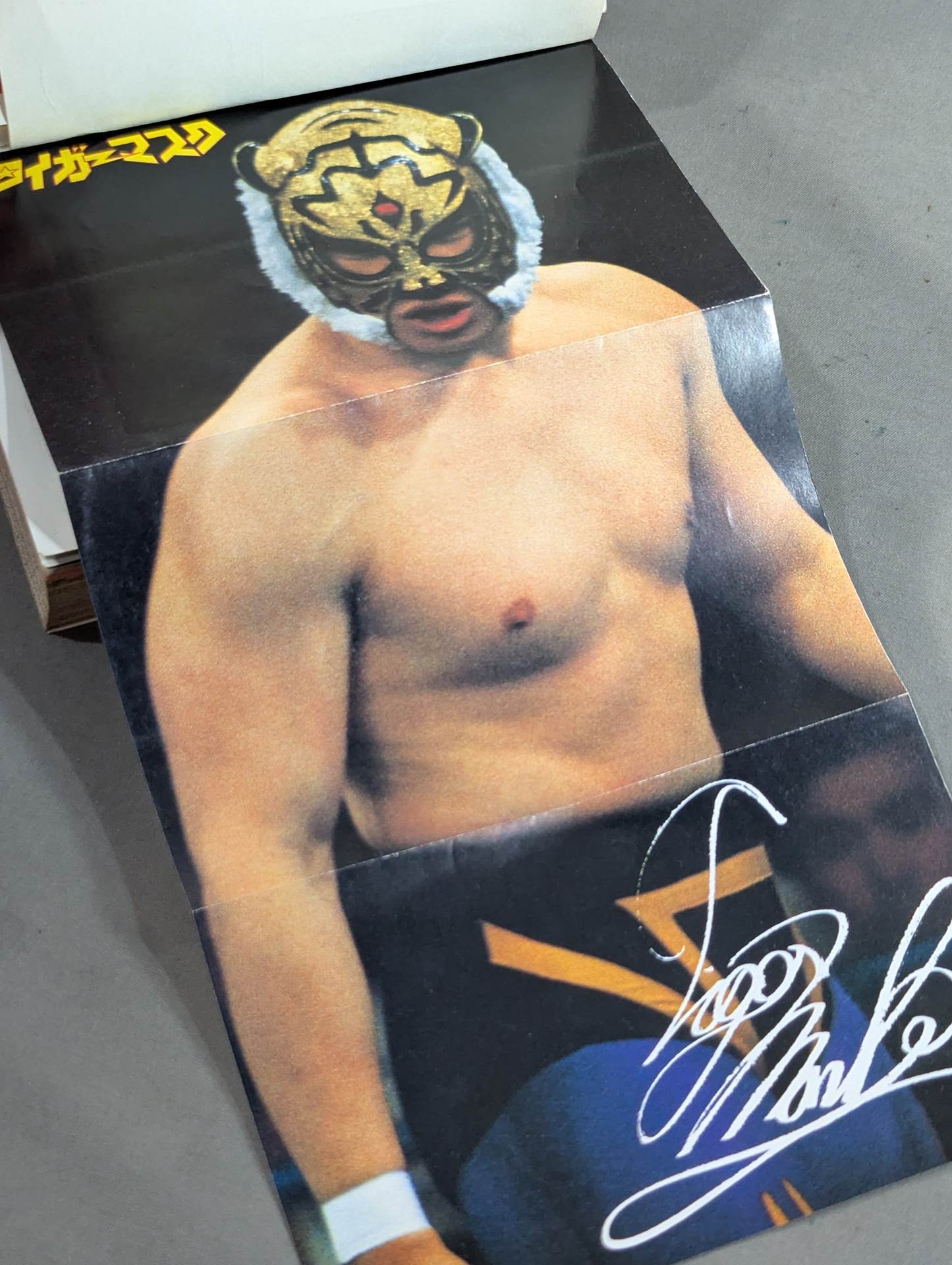 タイガーマスク大全集 – 闘道館