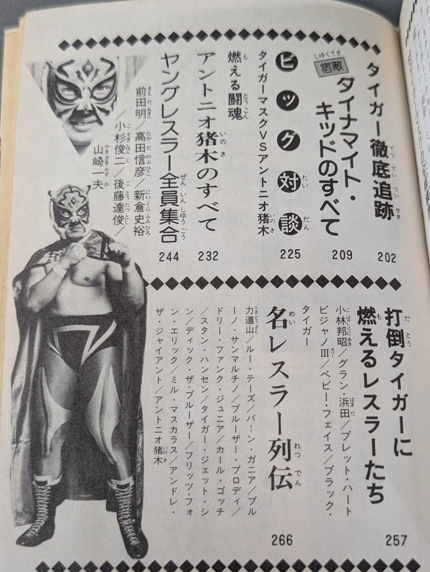 タイガーマスク大全集 – 闘道館