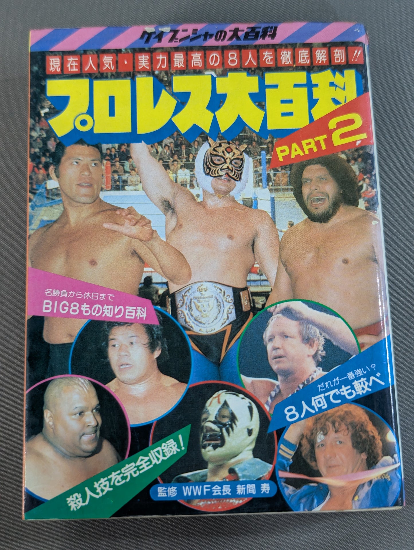 Pro Wrestling Encyclopedia Part.2 / A thorough dissection of the 8 most popular and talented people at the moment! !