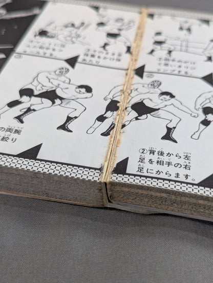 Pro Wrestling Encyclopedia Part.2 / A thorough dissection of the 8 most popular and talented people at the moment! !