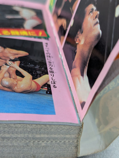 Pro Wrestling Encyclopedia Part.2 / A thorough dissection of the 8 most popular and talented people at the moment! !