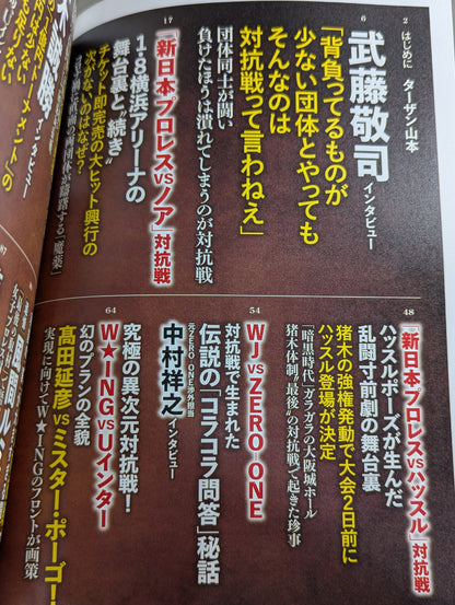 Series Paradoxical Pro Wrestling Vol.21 Pro Wrestling  frenzy "promotion  competition" Light and Shadow